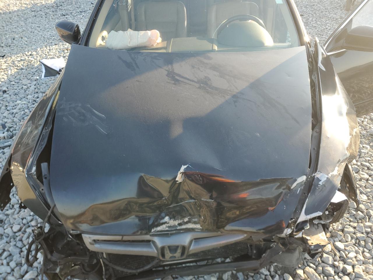 Lot #3304616472 2005 HONDA ACCORD EX