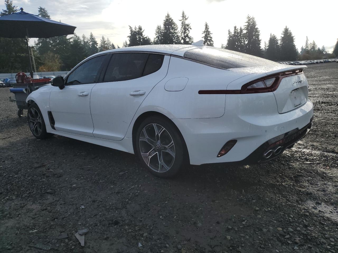 KIA STINGER