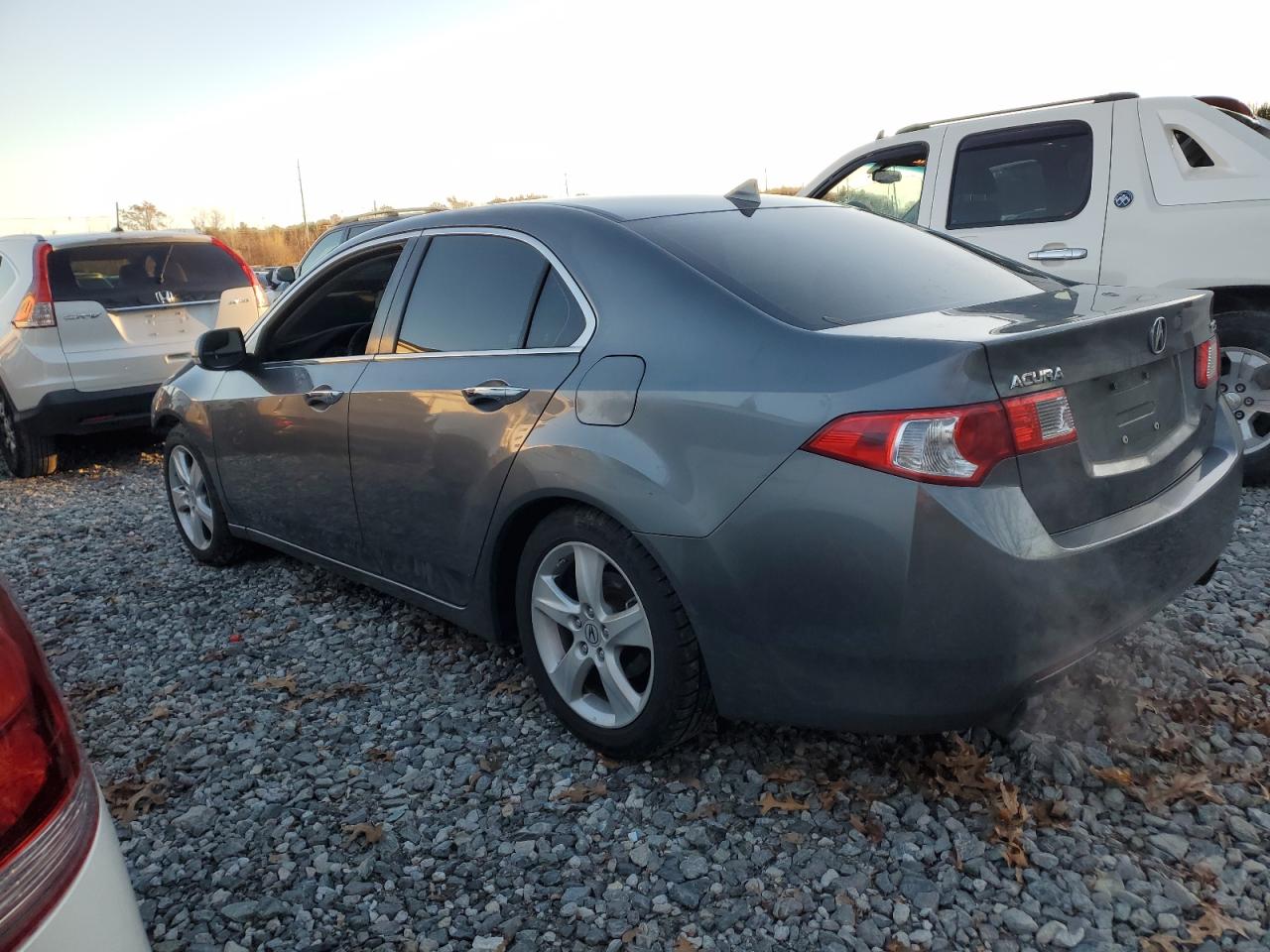 Lot #3304538462 2009 ACURA TSX