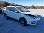 Lot #3317822202 2014 FORD ESCAPE SE