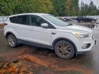 Lot #3296907849 2017 FORD ESCAPE SE