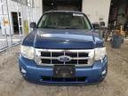 Lot #3293500432 2010 FORD ESCAPE XLT
