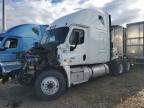 Lot #3309448989 2020 FREIGHTLINER CASCADIA 1
