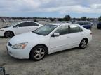 Lot #3311550310 2003 HONDA ACCORD EX