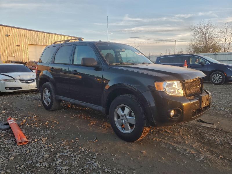 2011 FORD ESCAPE XLT #3304619466