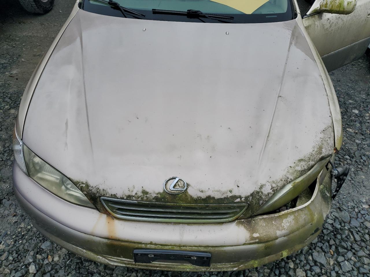 Lot #3290305229 2000 LEXUS ES 300