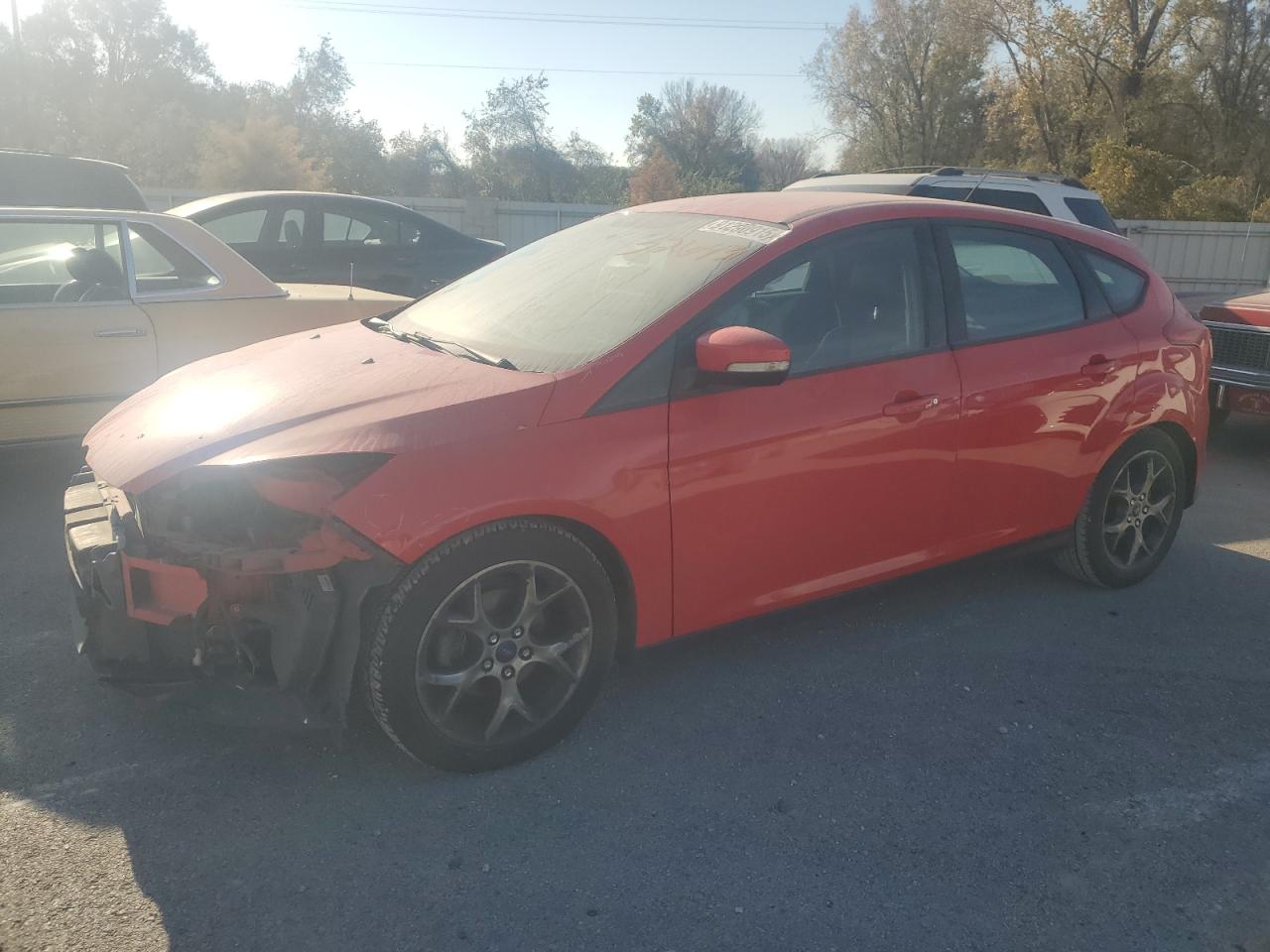 Lot #3284403723 2014 FORD FOCUS SE