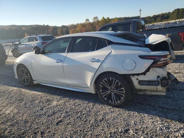 2019 NISSAN MAXIMA S 1N4AA6AV2KC365236