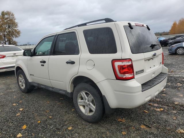 2010 FORD ESCAPE HYB - 1FMCU5K38AKC05671