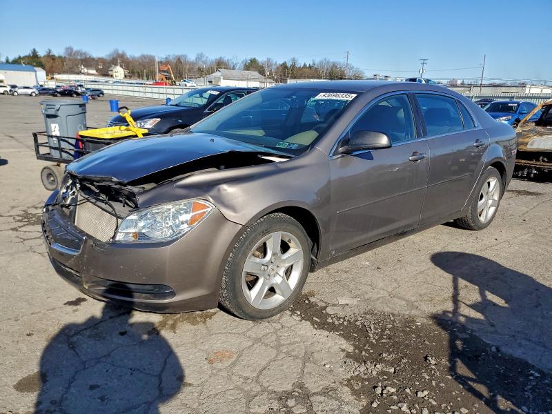 2010 CHEVROLET MALIBU LS #3303879751