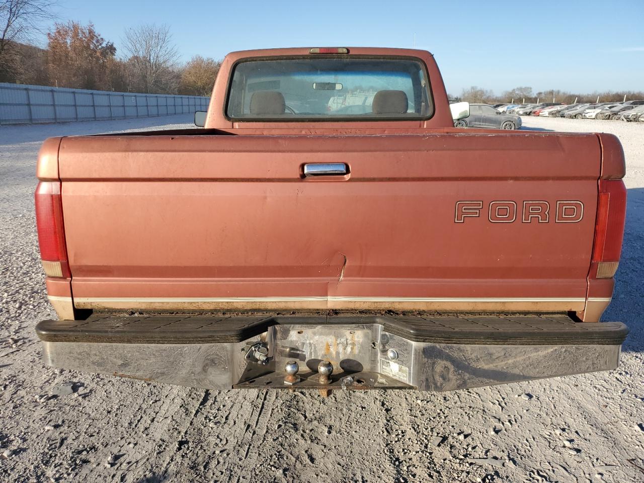 Lot #3304596434 1995 FORD F150