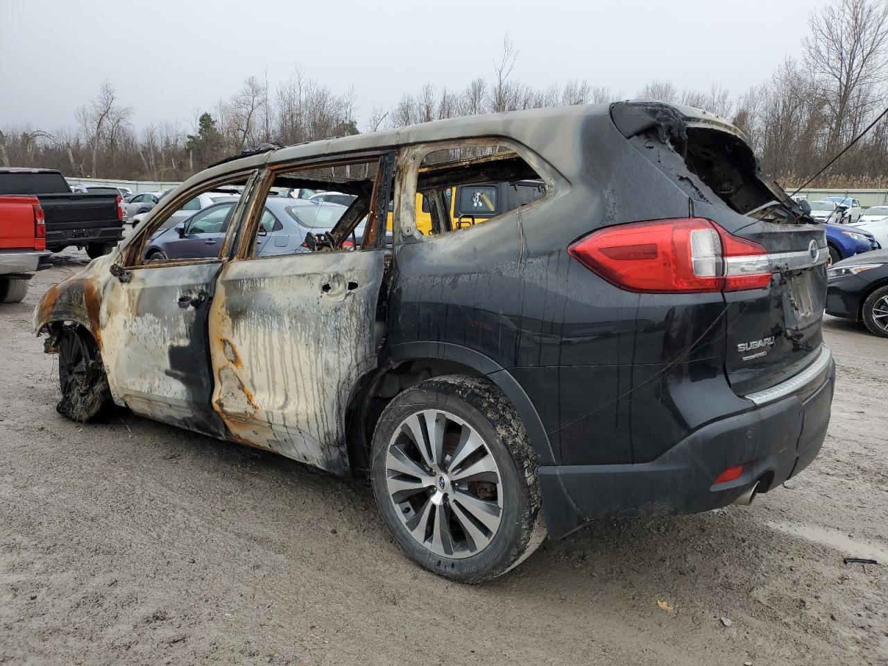 SUBARU ASCENT LIMITED