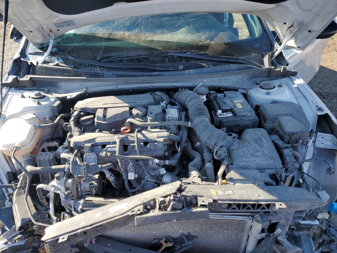 HYUNDAI ELANTRA N LINE