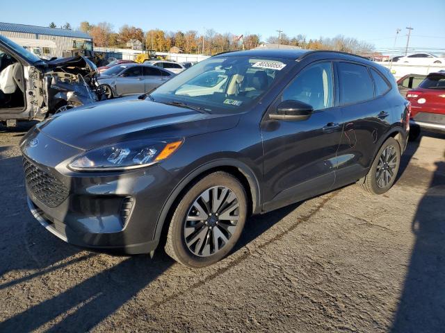 Global Auto Auctions: 2020 FORD ESCAPE SE