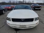 Lot #3292300277 2008 FORD MUSTANG