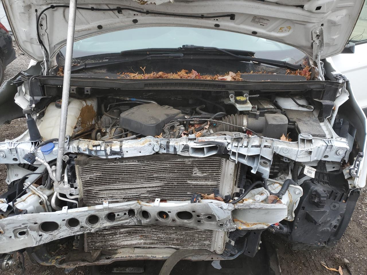 FORD TRANSIT CONNECT XL