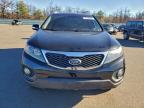Lot #3308377328 2013 KIA SORENTO EX