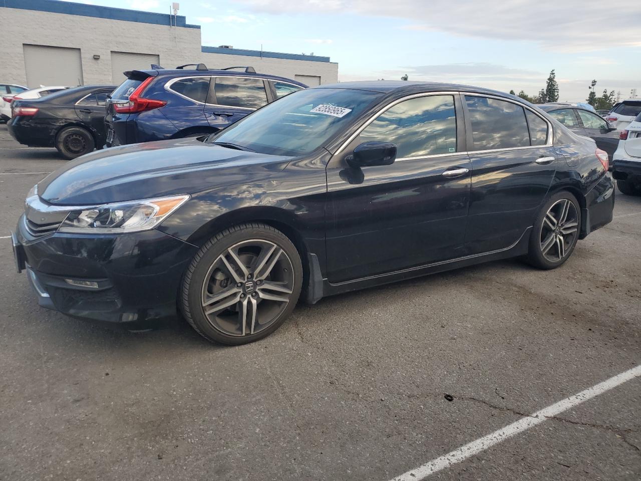 HONDA ACCORD SPORT