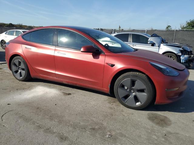 2023 TESLA MODEL 3 #3305484106