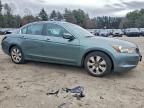 Lot #3305303365 2008 HONDA ACCORD EX