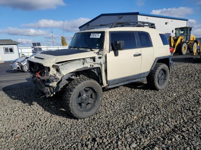 Global Auto Auctions: 2010 TOYOTA FJ CRUISER