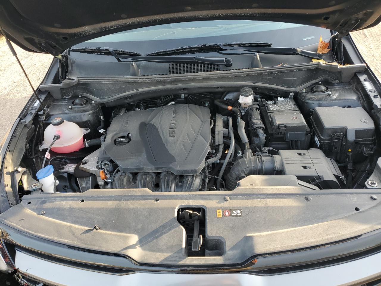 Lot #3302708021 2024 KIA SPORTAGE X