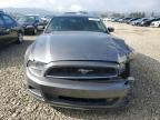 Lot #3303861796 2013 FORD MUSTANG