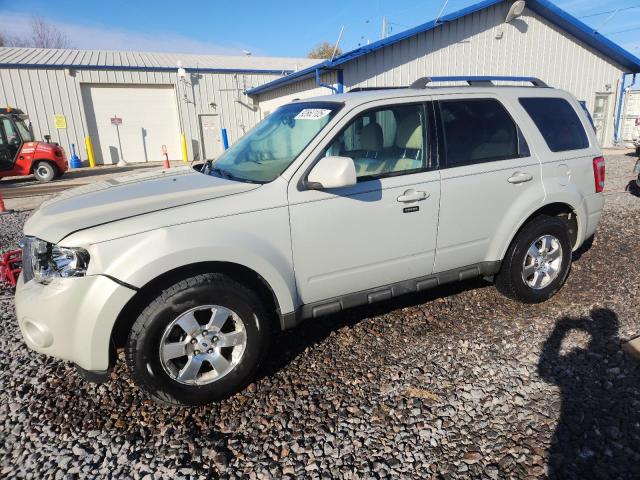 Global Auto Auctions: 2009 FORD ESCAPE LIM