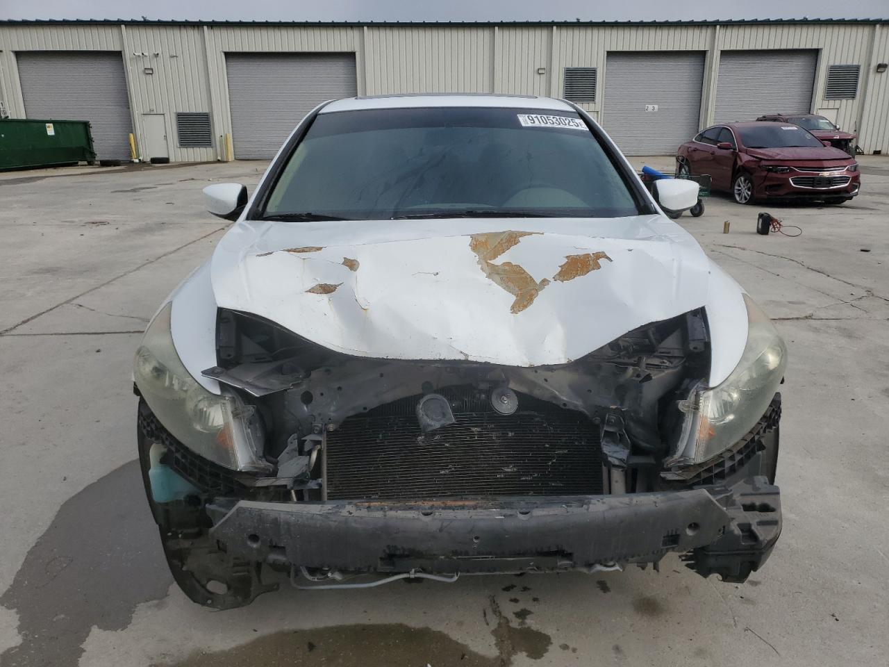 Lot #3291194984 2008 HONDA ACCORD EX