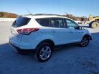 Lot #3317822202 2014 FORD ESCAPE SE