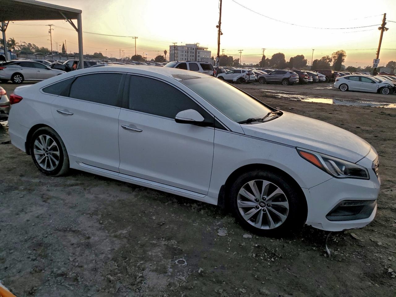 Lot #3297195417 2015 HYUNDAI SONATA SPO