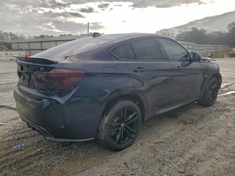 2016 BMW X6 M #3302738019