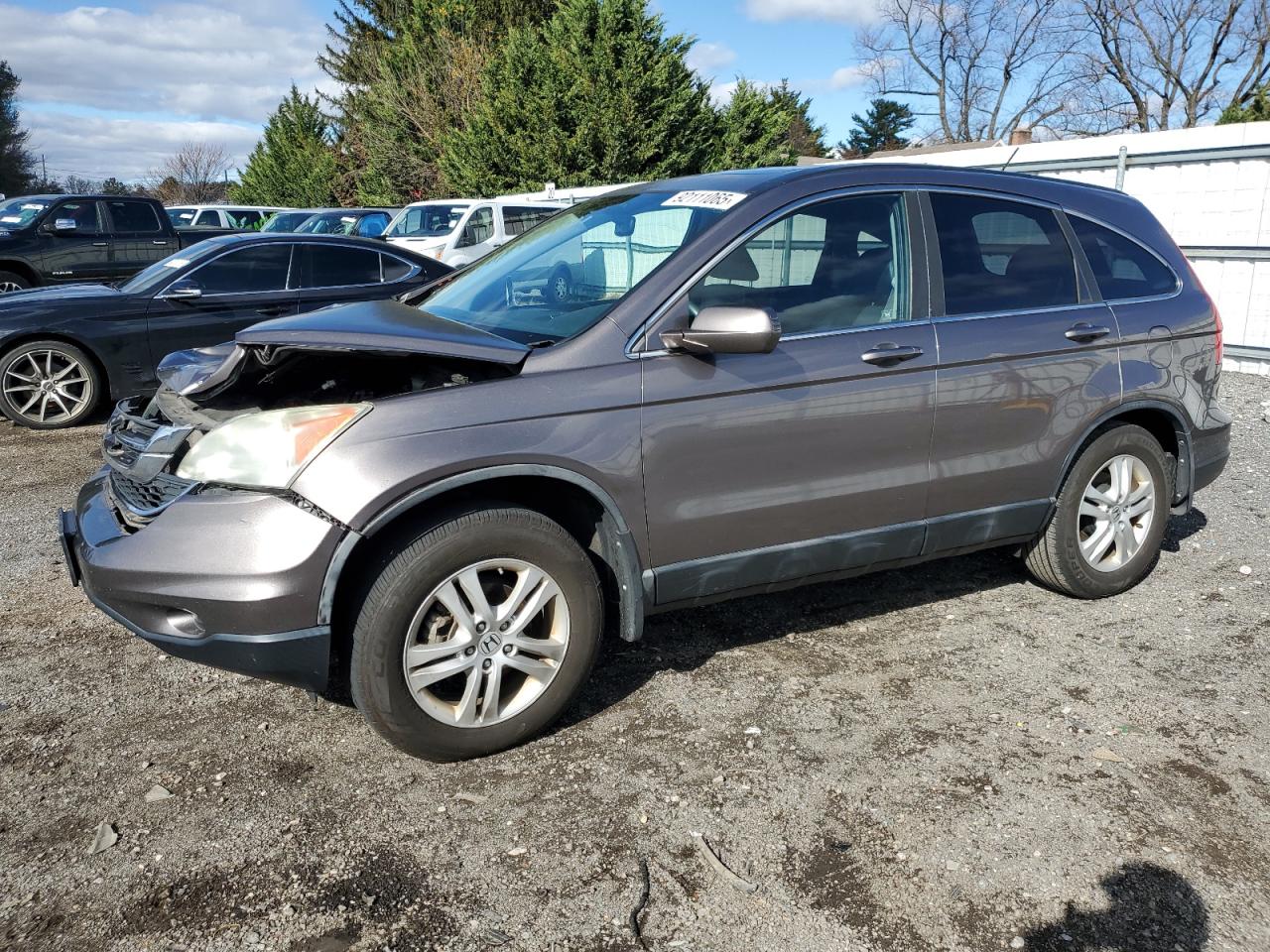 Lot #3304575442 2011 HONDA CR-V EXL