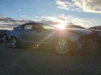 Lot #3292390296 2005 FORD MUSTANG GT