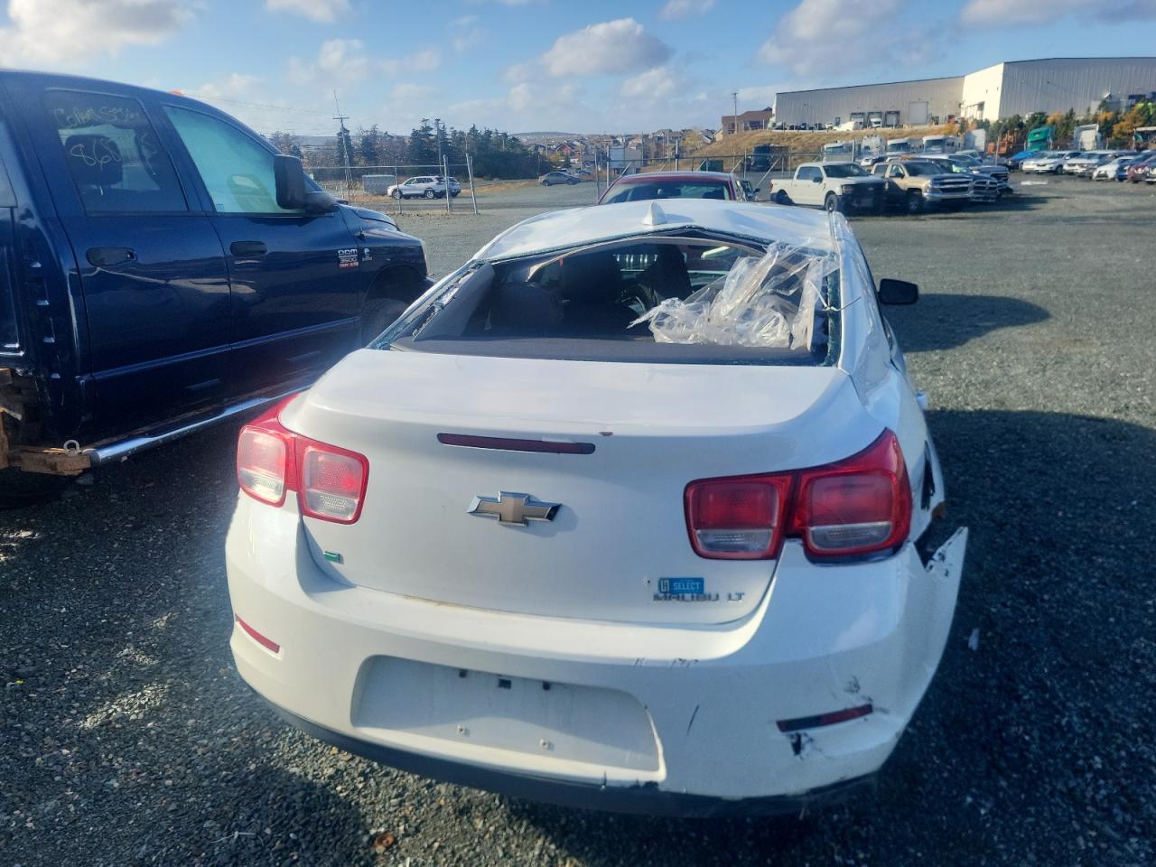 CHEVROLET MALIBU 1LT