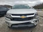 Lot #3293497430 2019 CHEVROLET COLORADO L