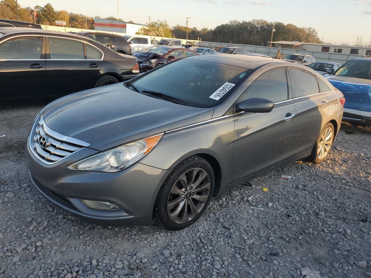 Lot #3301826375 2013 HYUNDAI SONATA SE
