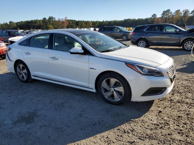 2017 HYUNDAI SONATA HYB - KMHE34L39HA075629