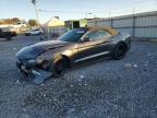 Lot #3294493499 2020 FORD MUSTANG