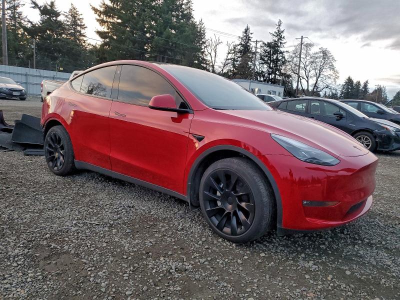 2023 TESLA MODEL Y #3302825942