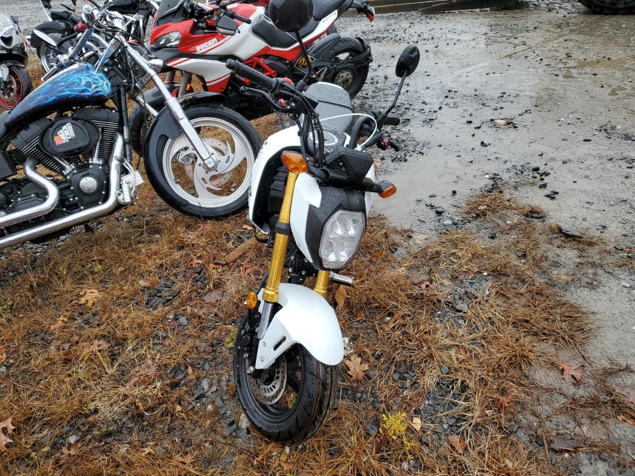 Lot #3304538454 2026 HONDA GROM 125