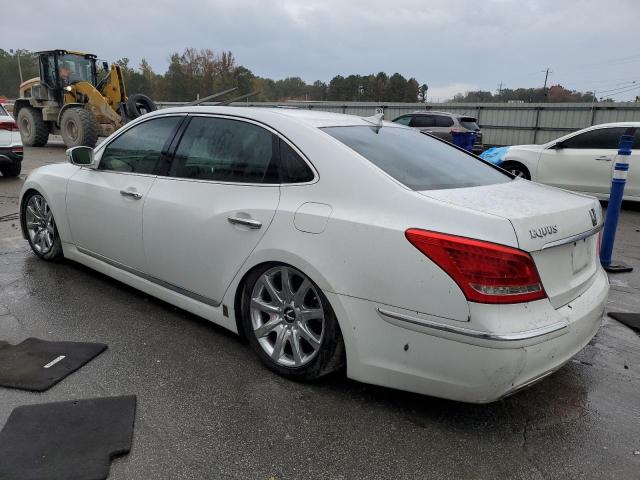 2013 HYUNDAI EQUUS SIGN #3296975812