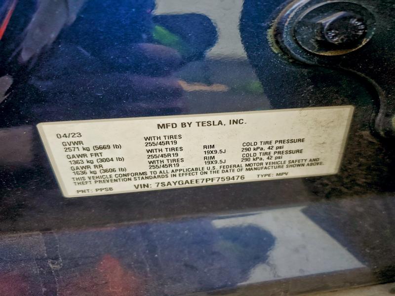 2023 TESLA MODEL Y #3301829377