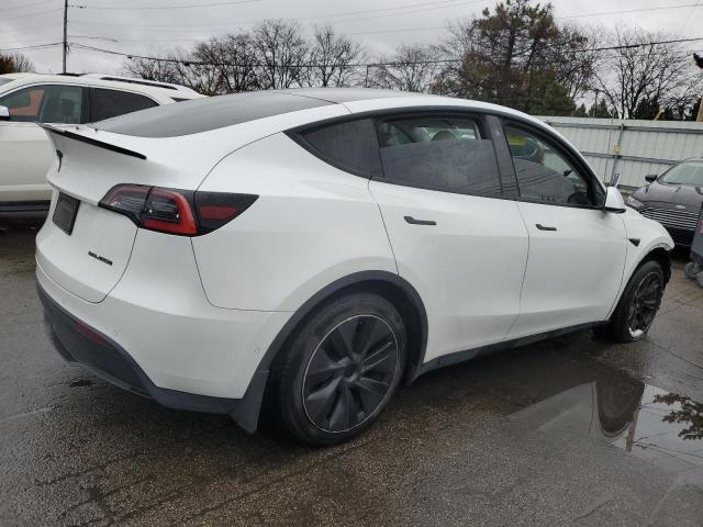 2021 TESLA MODEL Y #3301689654