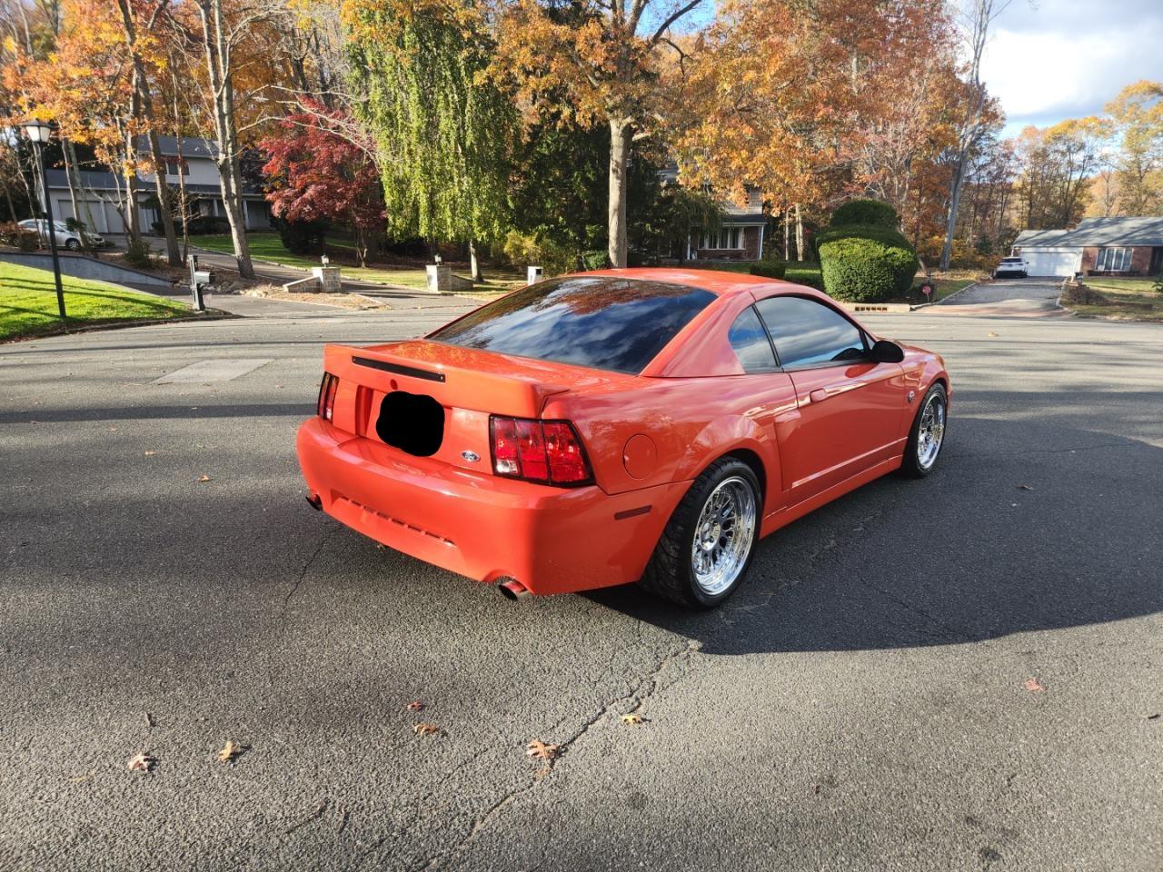 Lot #3281401993 2004 FORD MUSTANG MA
