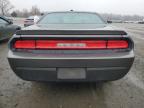 Lot #3293524438 2010 DODGE CHALLENGER