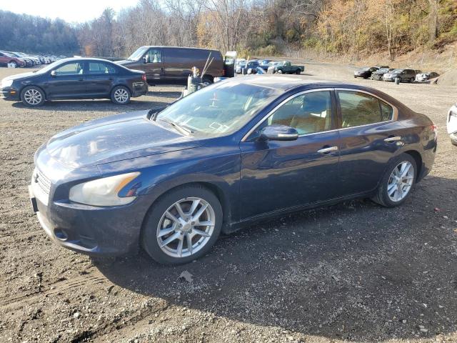 Global Auto Auctions: 2010 NISSAN MAXIMA S