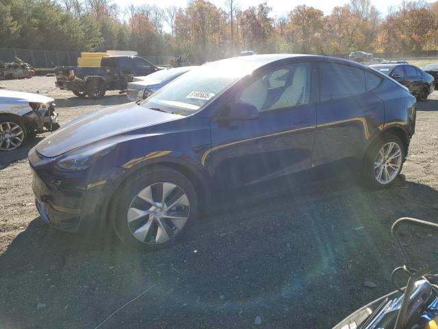2022 TESLA MODEL Y #3282188876