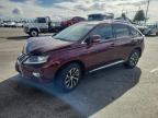 Lot #3310540050 2013 LEXUS RX 350