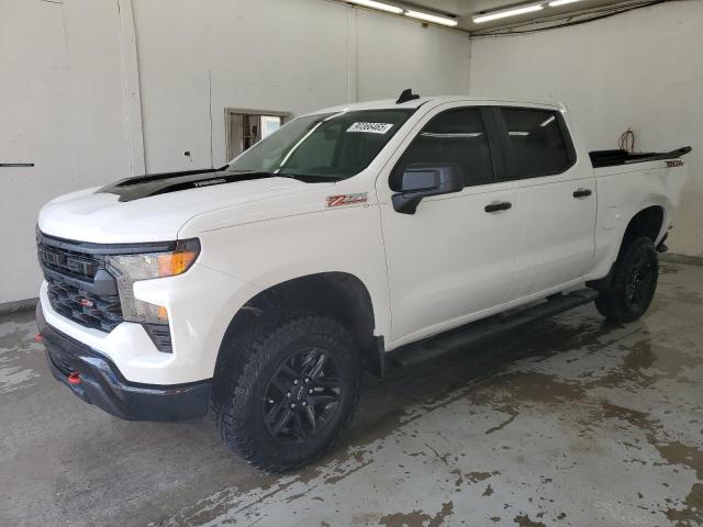 Global Auto Auctions: 2025 CHEVROLET SILVERADO